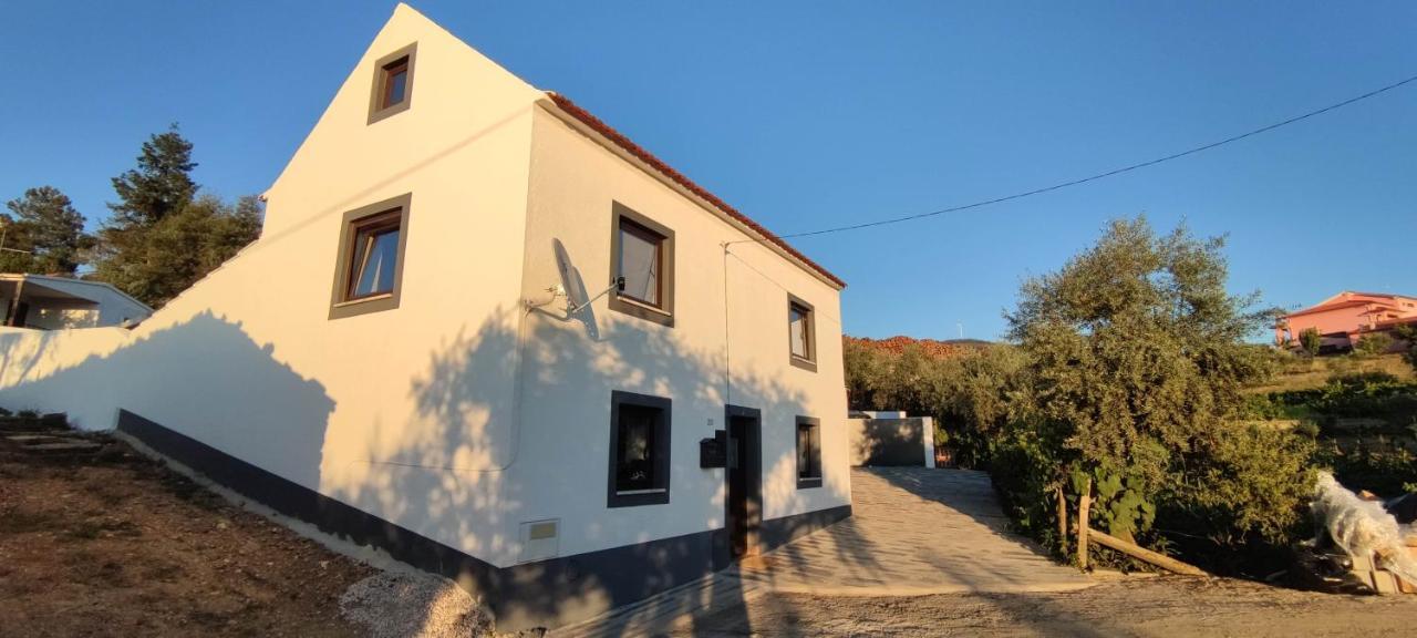 Pomar Das Oliveiras - Private Swimming Pool - Free Ev Chrg - Pet Friendly Carvalhal  Zewnętrze zdjęcie
