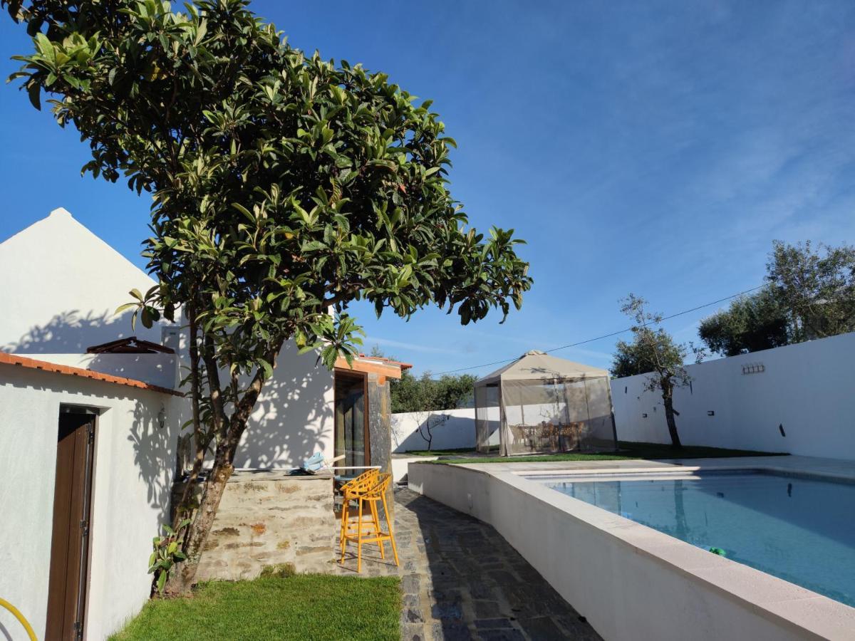 Pomar Das Oliveiras - Private Swimming Pool - Free Ev Chrg - Pet Friendly Carvalhal  Zewnętrze zdjęcie