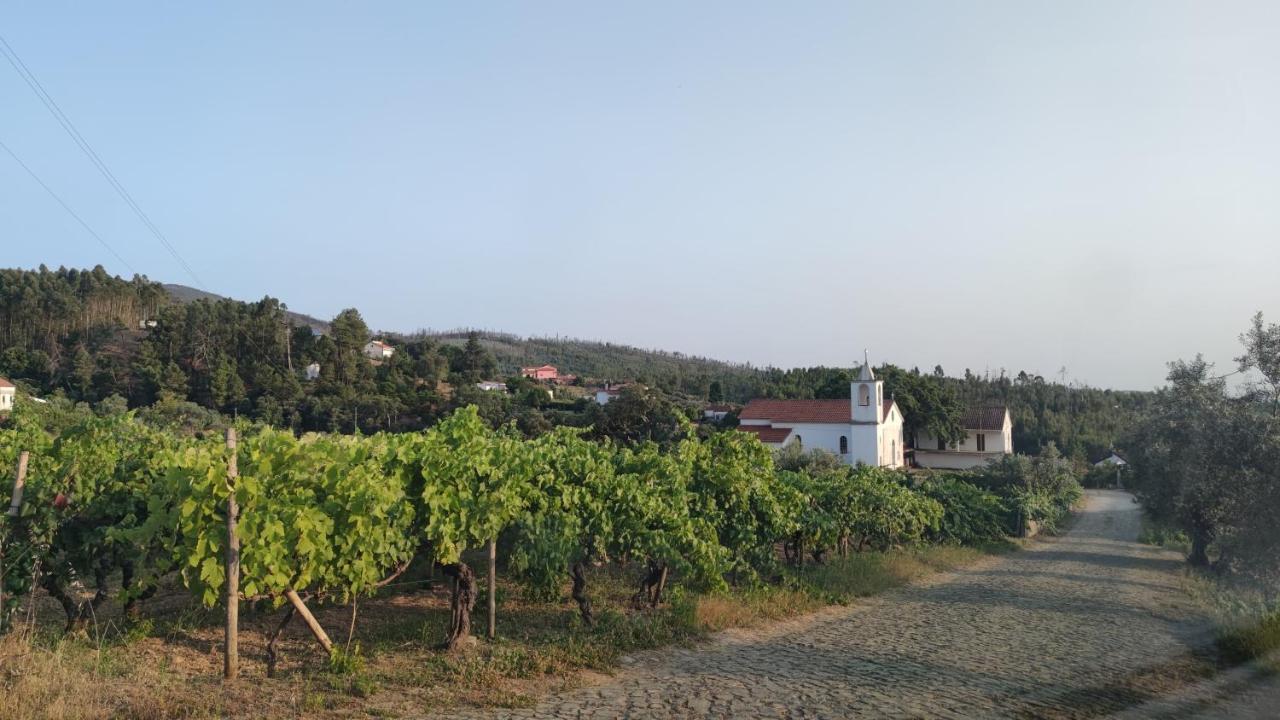 Pomar Das Oliveiras - Private Swimming Pool - Free Ev Chrg - Pet Friendly Carvalhal  Zewnętrze zdjęcie