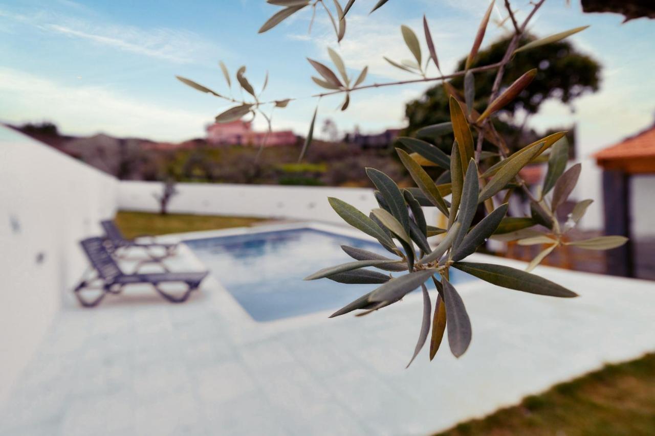 Pomar Das Oliveiras - Private Swimming Pool - Free Ev Chrg - Pet Friendly Carvalhal  Zewnętrze zdjęcie