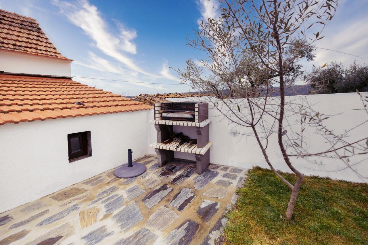 Pomar Das Oliveiras - Private Swimming Pool - Free Ev Chrg - Pet Friendly Carvalhal  Zewnętrze zdjęcie
